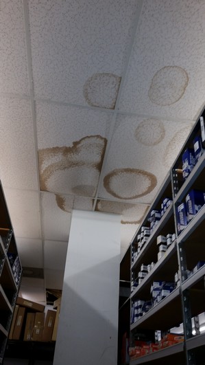 Water Damaged Ceiling Tiles