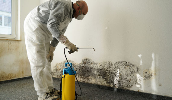 Spraying for Mold
